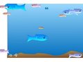 Aquarium Fische online spielen