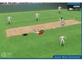 Hot Cricket online spielen