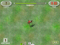 Horse Show Jumping online spielen