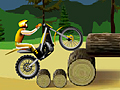 Stunt Dirt Bike online spielen