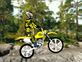 Trial Bike 2 online spielen