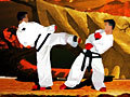 Taekwon-Do online spielen