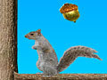 Acorn Toss online spielen