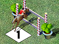 Horse Show Jumping online spielen