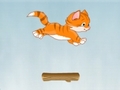 Kitty Jump online spielen