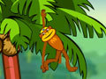 Spider Monkey online spielen