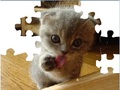 Cute Cat Puzzle online spielen