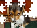 Cute Dog Puzzle online spielen