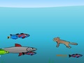 Fische Catcher online spielen