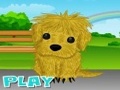 Puppy braucht Owner online spielen