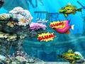 Big Fish fressen kleine Fische online spielen