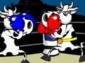 Cow Fighter online spielen