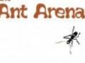 Ants Arena online spielen