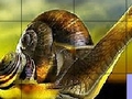 Llittle Schnecke online spielen