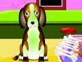 Caring für einen Hund online spielen