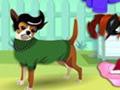 Dress up your pet online spielen