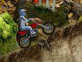 Mountainbike online spielen