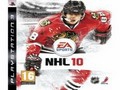 NHL 10 Jigsaw online spielen