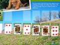 Animal Planet Solitaire online spielen