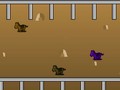 Horse Ranch online spielen